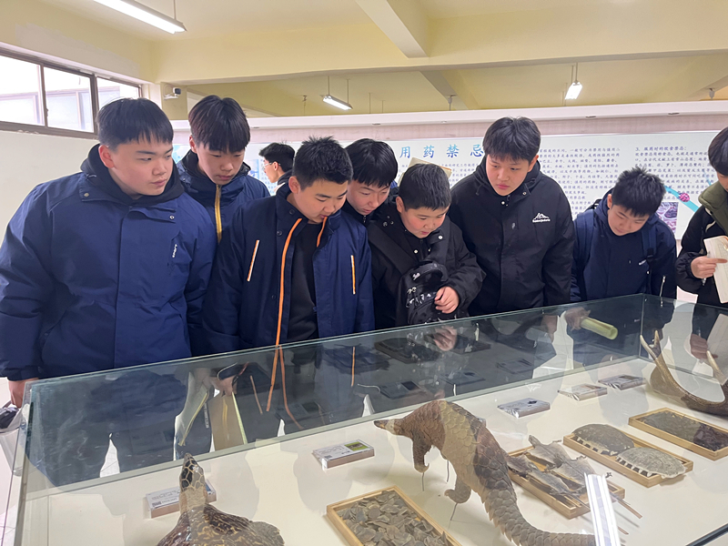“趣”研学  把欢乐刻进春
